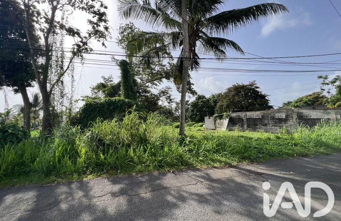 Vente Terrain 1250m&sup2; Capesterre Belle Eau