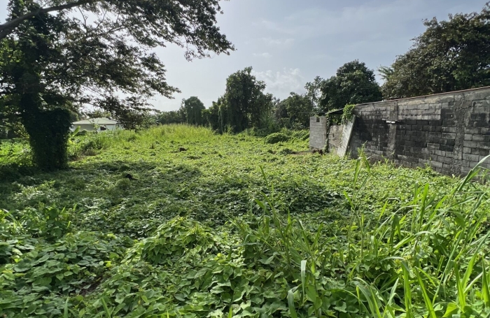 Vente Terrain 1250m&sup2; Capesterre Belle Eau