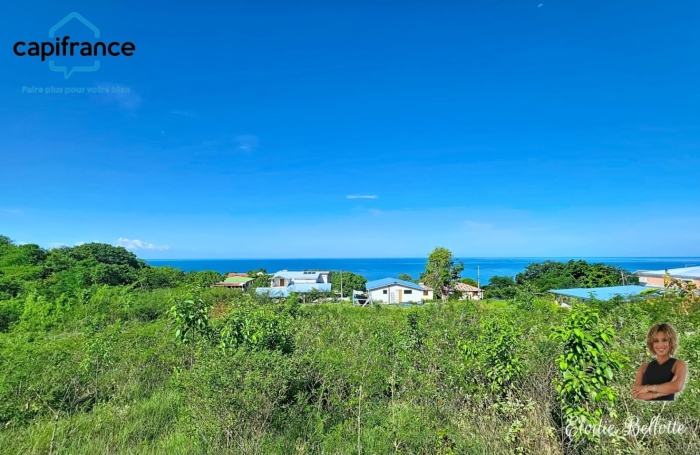 Vente Terrain 97125