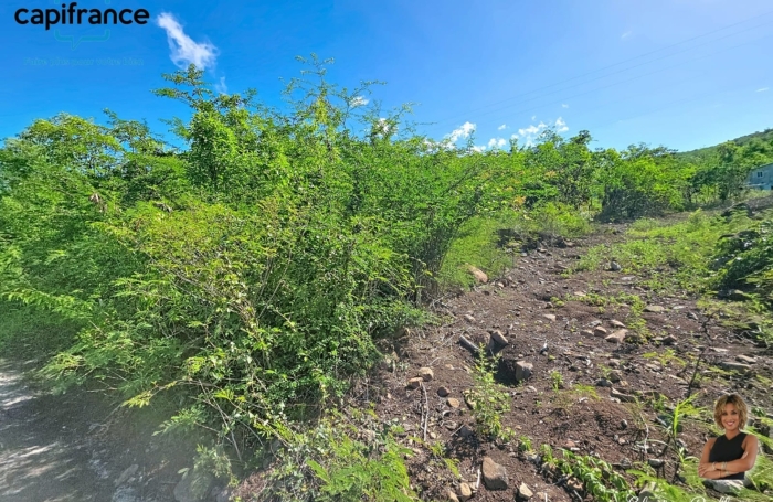 Vente Terrain 1100m&sup2; Bouillante