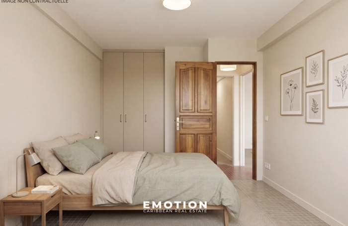 Appartement T4 66 m2 + terrasse - Le Raizet   Les Abymes