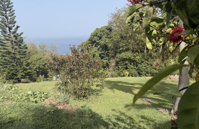 Vente Terrain 2299m&sup2; Bouillante
