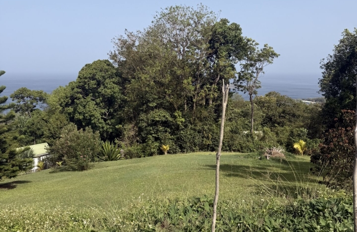 Vente Terrain 2299m&sup2; Bouillante