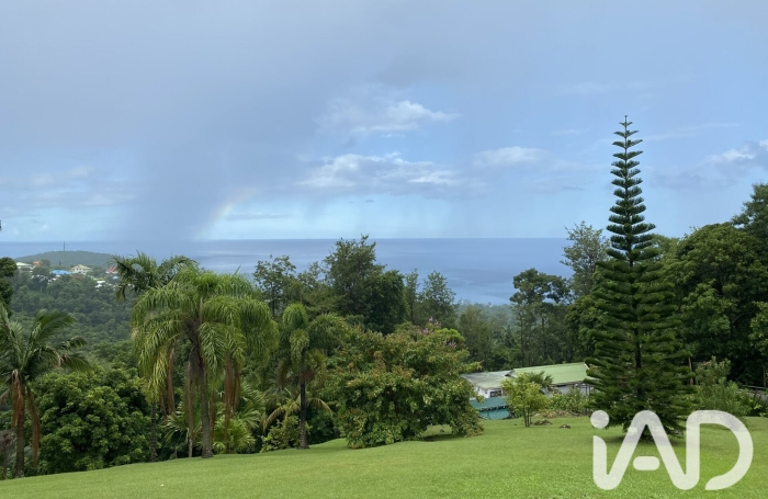 Vente Terrain 2299m&sup2; Bouillante