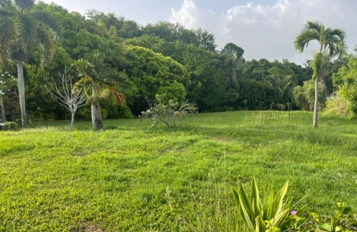 Vente Maison 58m&sup2; 3 pièces Goyave