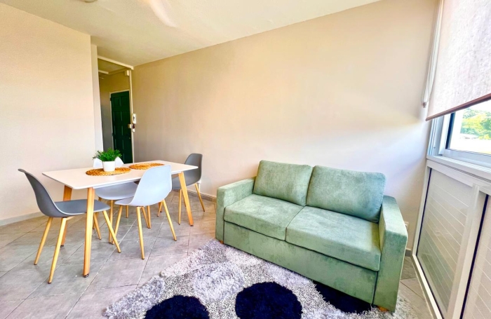 Location Appartement 97139