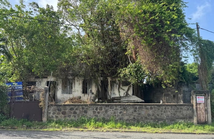 &Agrave; vendre   Terrain constructible de 2999 m2 &agrave; Basse-Terre