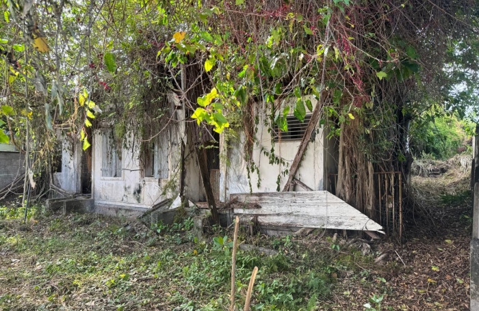 &Agrave; vendre   Terrain constructible de 2999 m2 &agrave; Basse-Terre