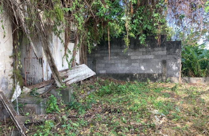 &Agrave; vendre   Terrain constructible de 2999 m2 &agrave; Basse-Terre