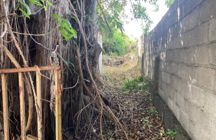 &Agrave; vendre   Terrain constructible de 2999 m2 &agrave; Basse-Terre