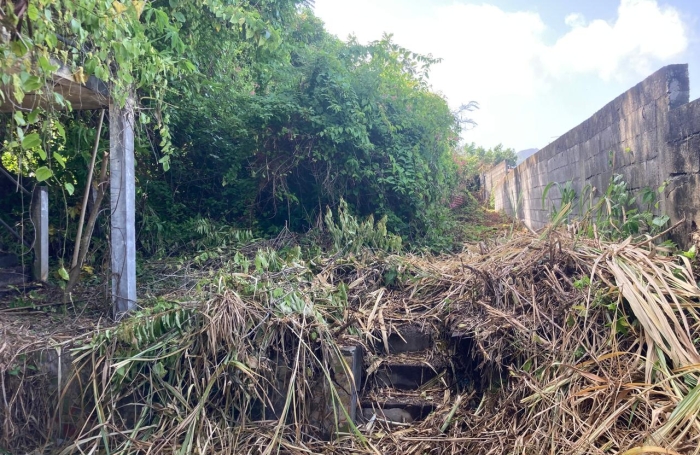 &Agrave; vendre   Terrain constructible de 2999 m2 &agrave; Basse-Terre
