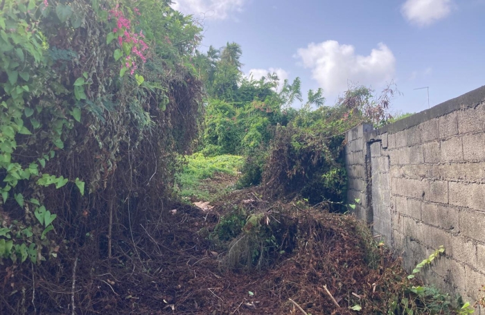 &Agrave; vendre   Terrain constructible de 2999 m2 &agrave; Basse-Terre