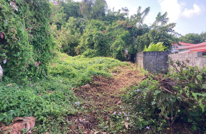 &Agrave; vendre   Terrain constructible de 2999 m2 &agrave; Basse-Terre