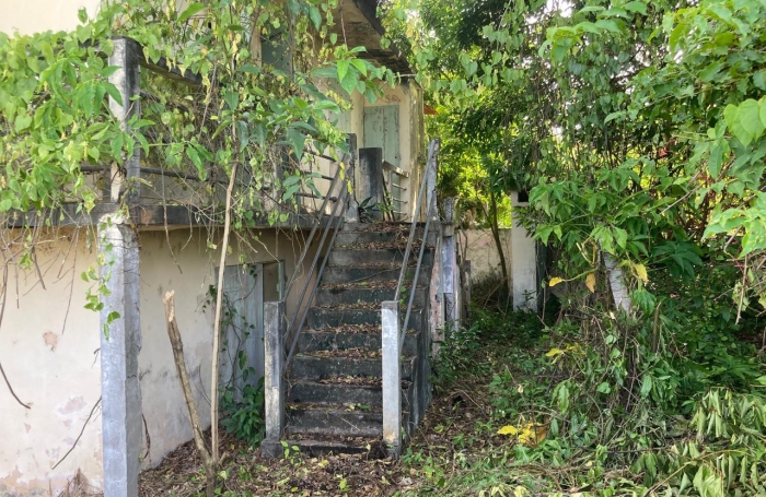 &Agrave; vendre   Terrain constructible de 2999 m2 &agrave; Basse-Terre