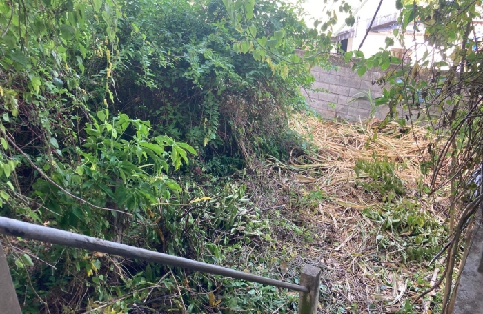 &Agrave; vendre   Terrain constructible de 2999 m2 &agrave; Basse-Terre