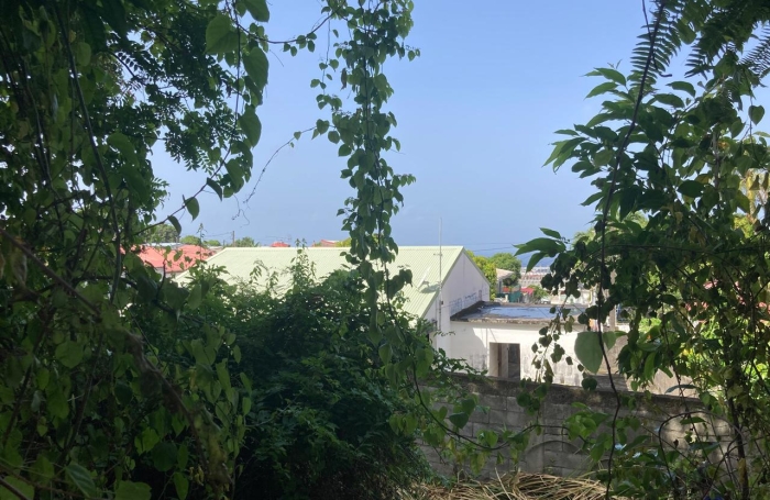 &Agrave; vendre   Terrain constructible de 2999 m2 &agrave; Basse-Terre