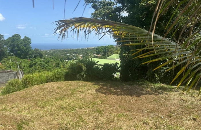 Vente Terrain 97113
