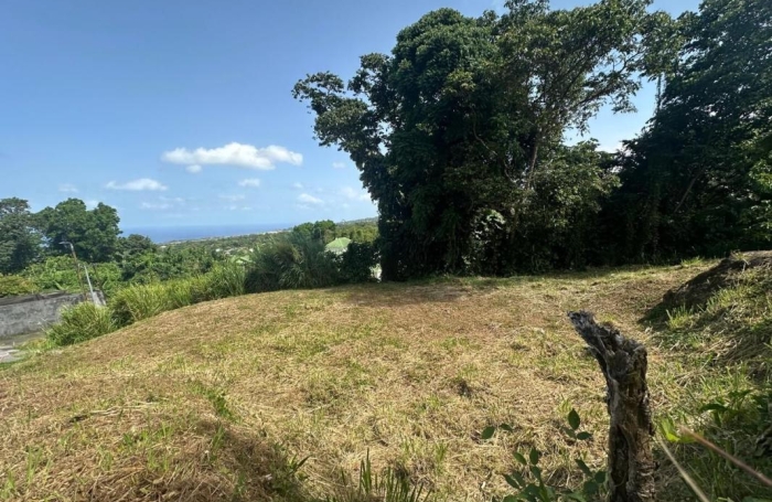 Vente Terrain 1111m&sup2; Gourbeyre