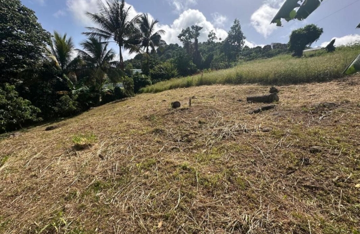 Vente Terrain 1111m&sup2; Gourbeyre