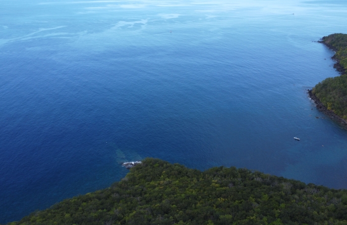 Vente Terrain 8000m&sup2; Bouillante
