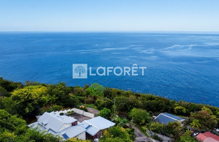 Vente Terrain 7000m&sup2; Bouillante