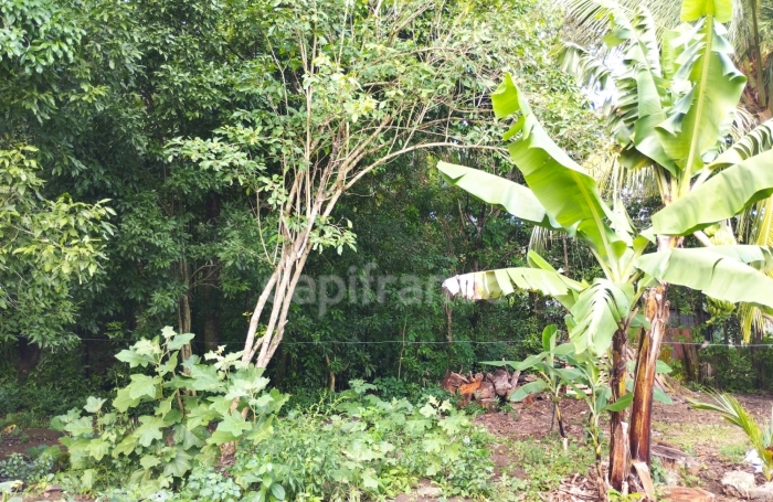 Vente Terrain 1000m&sup2; Morne &agrave; l'eau
