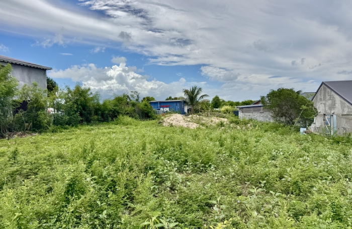 Terrain de 800m2 plat, &agrave; acheter &agrave; Anse Bertrand avec Longfort Immobilier