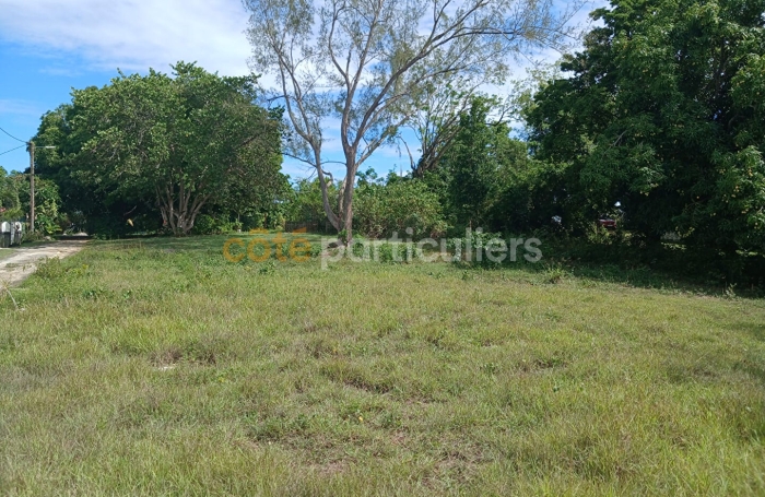 Vente Terrain 741m&sup2; Sainte Anne