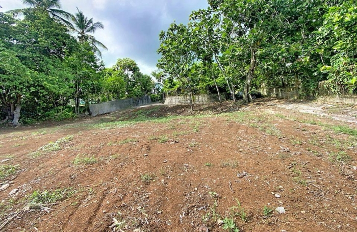 Vente Terrain 400m&sup2; 4 pi&egrave;ces Baie Mahault