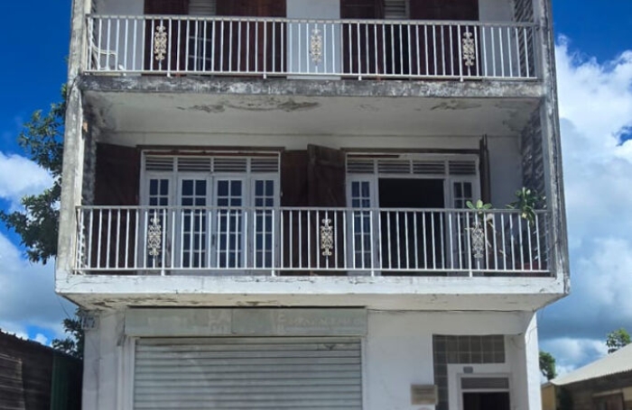 Vente Immeuble 