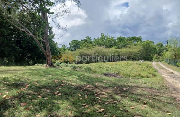 Vente Terrain 1032m&sup2; Sainte Anne