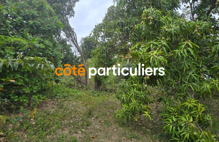 Vente Terrain 