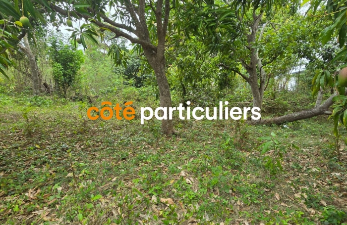 Vente Terrain 601m&sup2; Sainte Anne