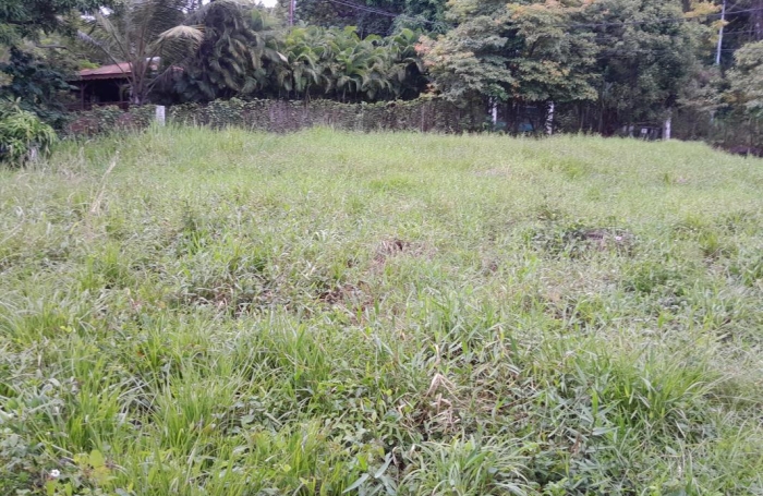 Vente Terrain 1343m&sup2; Deshaies