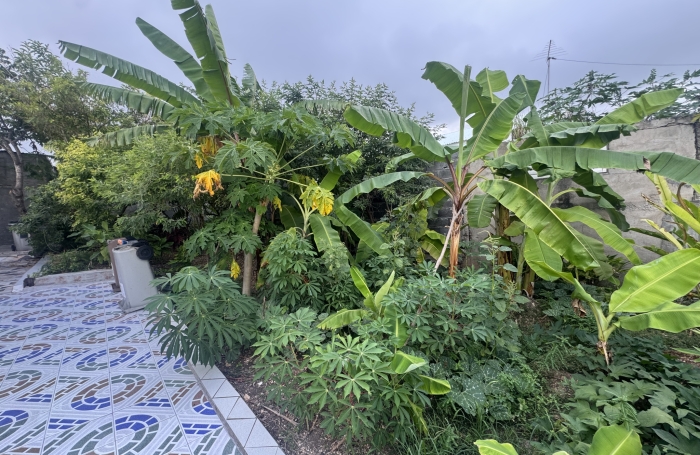 Maison avec jardin et terrasse. Agence Longfort Immobilier.