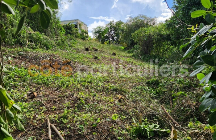 Vente Terrain 1094m&sup2; Gosier