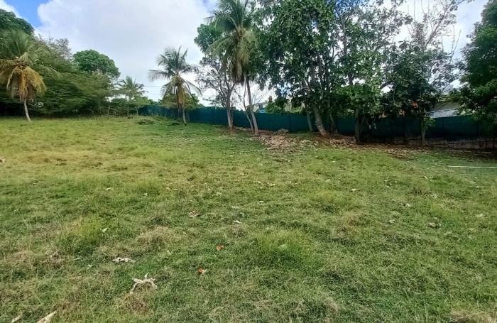 Vente Terrain 97190