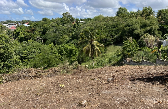 Vente Terrain 97190