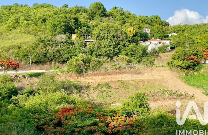 Vente Terrain 629m&sup2; Vieux Habitants
