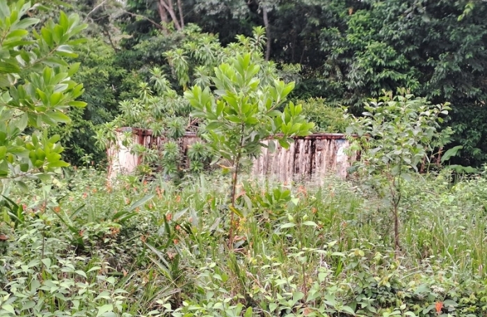 Vente Terrain 3444m&sup2; Matoury