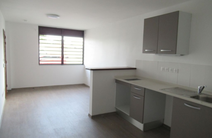 Location Appartement 97300