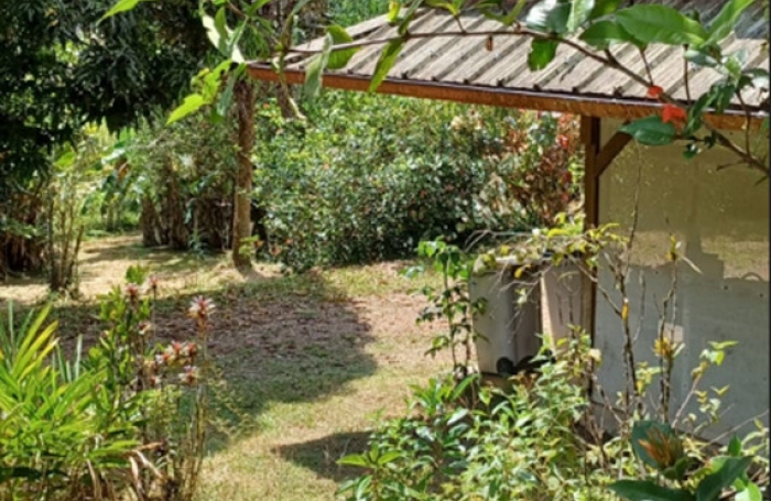 Vente Maison 270m&sup2; 7 pièces Matoury