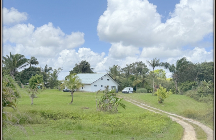 Vente Maison 194m&sup2; 4 pièces Sinnamary