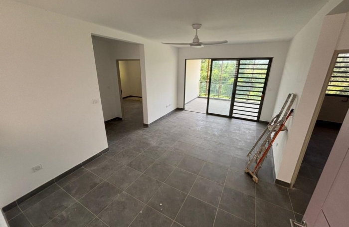 Location Appartement 97354