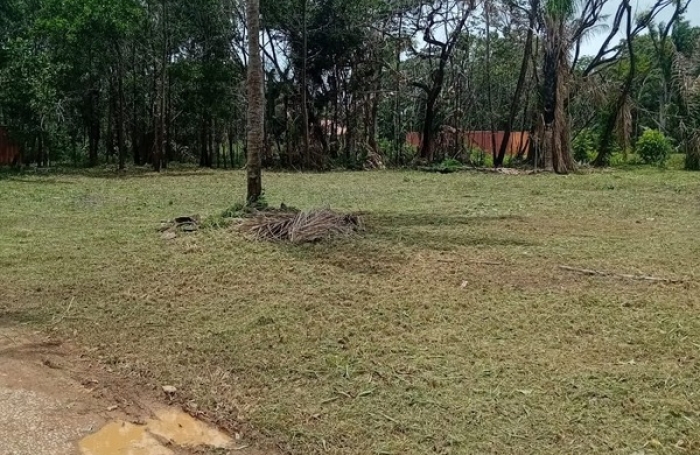 Vente Terrain 3000m&sup2; Macouria Tonate