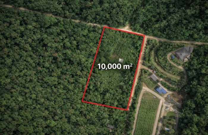 Vente Terrain 97311