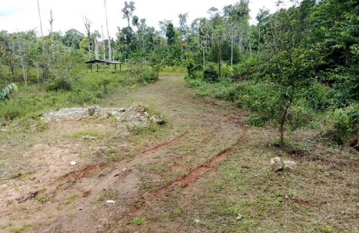 Vente Terrain 10000m&sup2; Roura
