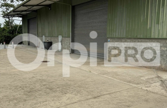 Hangar professionnel de 412 m&sup2; sur parcelle s&eacute;curis&eacute;e, id&eacute;al pour activit&eacute; ou stockage, avec deux acc&egrave;s portails et deux volets roulants.