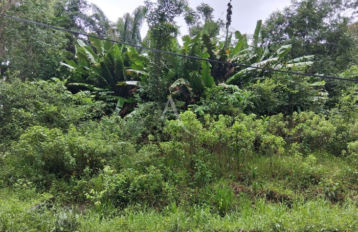 Vente Terrain 9856m&sup2; Montsinery