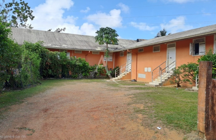 Vente Immeuble 365m&sup2; 14 pi&egrave;ces Cayenne